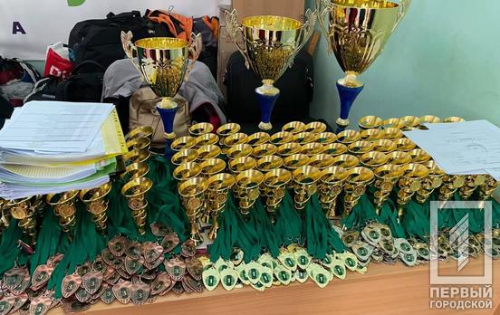 11 спортсменов из Кривого Рога заняли призовые места в рамках отрытого Кубка области по карате