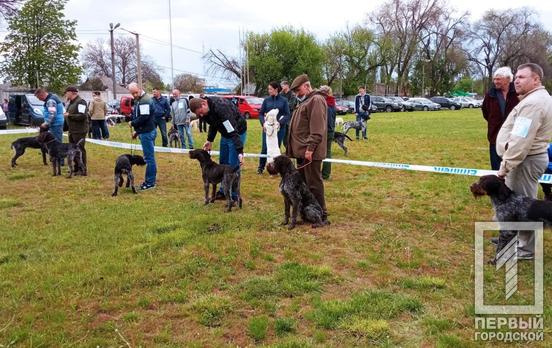 «Весна Кривбасса – 2021»: в Кривом Роге проходит всеукраинская выставка собак