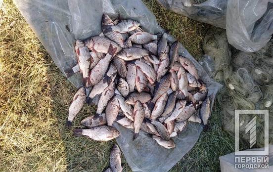Ночью в Кривом Роге полицейские задержали браконьера с крупным уловом