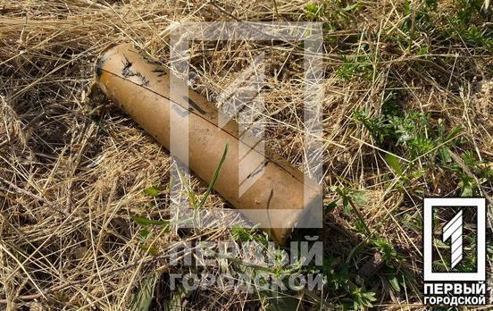 Необычный улов: в Кривом Роге рыбак вытащил из пруда дымовую шашку