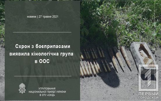 Немецкая овчарка нацгвардейцев из Кривого Рога обнаружила тайник с боеприпасами в зоне проведения ООС