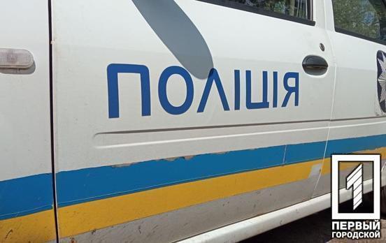 На подвір'ї одного з криворізьких приватних будинків в басейні знайшли мертвими чоловіка та жінку
