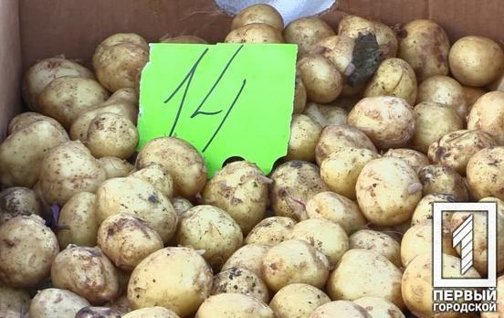 В Україні протягом місяця значно уповільнився темп інфляції, – дослідження