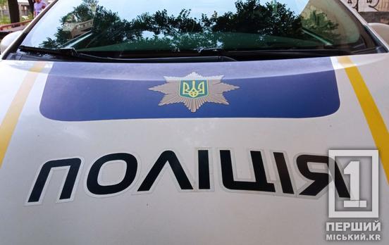 Не вирішили конфлікт мирно: у Кривому Розі чоловіка затримали через газовий балончик