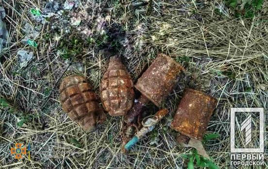 Возле Кривого Рога поисковики обнаружили боеприпасы времён Второй мировой