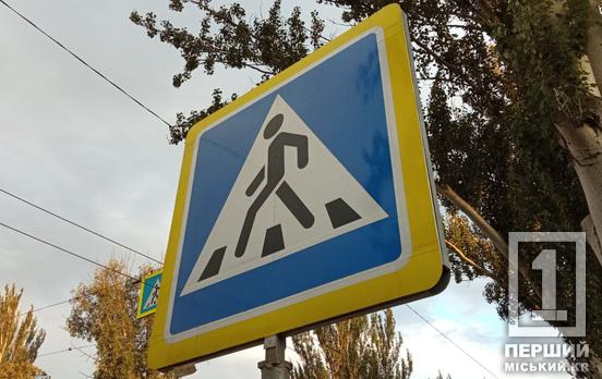 Смерть настала в реанімації: у Кривому Розі суд виніс вирок водію з Харківської області