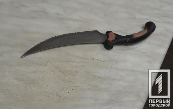 Чоловік, який під час п’яної сварки у Кривому Розі порізав свого знайомого, відсидить п’ять років у в’язниці