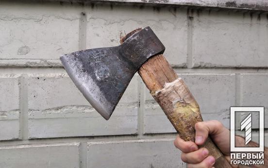 Пряталась в шкафу: в Кривом Роге правоохранители задержали женщину, которая напала с топором на сожителя