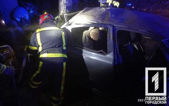 Ночью под Кривым Рогом Skoda влетела в дерево: одного из пассажиров из машины вырезали спасатели