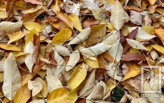 9 листопада у Кривому Розі буде хмарна погода