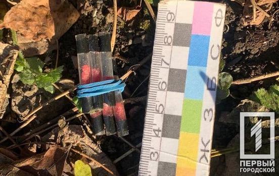 Завдяки використанню чат-боту DrugHunters, у Кривому Розі затримали п’ятьох наркозбувачів