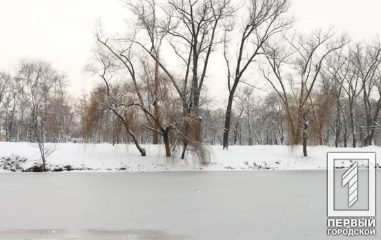 1 січня у Кривому Розі очікується дощ і вітер