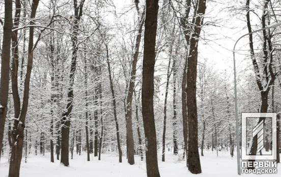 18 січня у Кривому Розі буде похмуро, можливий сніг