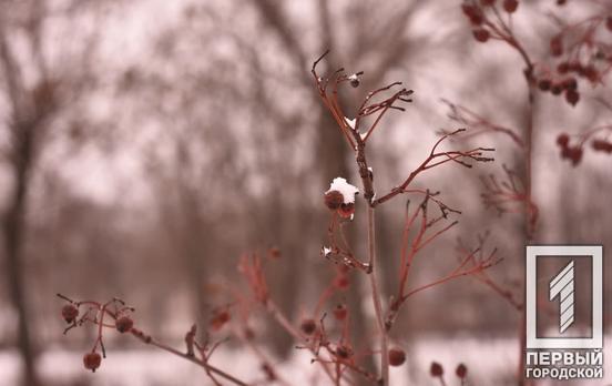 26 січня у Кривому Розі буде морозно і хмарно