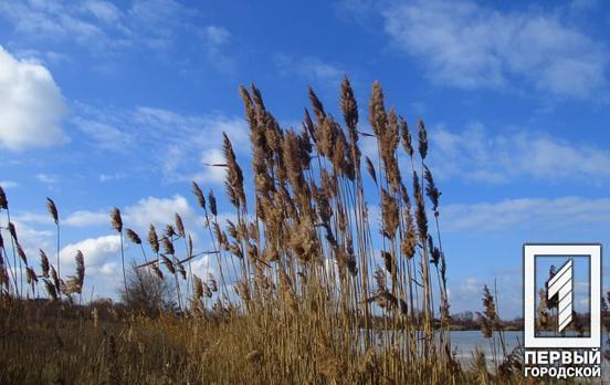 7 лютого у Кривому Розі день буде хмарним, без опадів