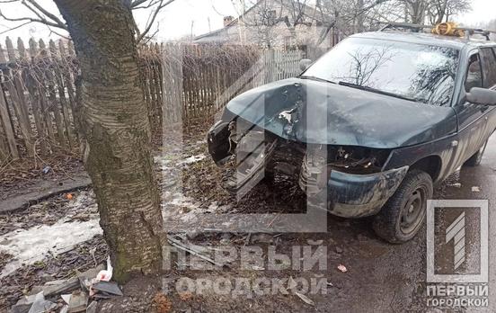 У Кривому Розі легковик врізався в дерево, водія госпіталізували