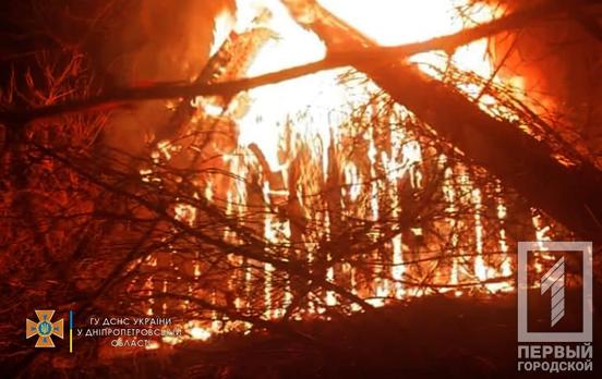 Вночі у Кривому Розі вогонь вирував у приватному будинку