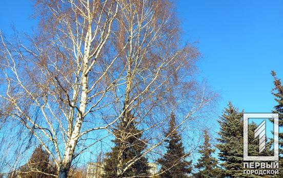 18 лютого у Кривому Розі день буде хмарним, можливий дрібний дощ