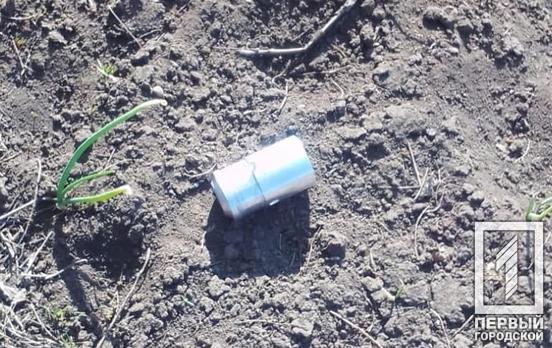 З початку війни ДСНС знищили понад 58 тисяч вибухонебезпечних предметів