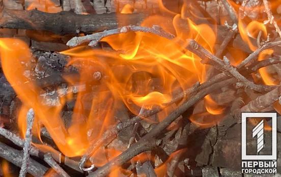 Криворізький район - лідер за кількістю пожеж в екосистемах у регіоні, ‒ ДСНС