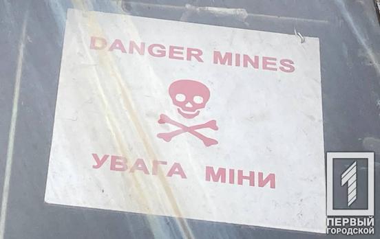 Понад 1 000 вибухівок знешкодили фахівці ДСНС протягом минулого дня