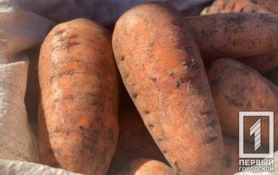 Совет Европейского Союза принял решение об отмене всех пошлин и квот на экспорт товаров из Украины в течение года