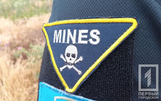 У Криворізькому районі за добу знешкодили п’ять російських снарядів, - ДСНС