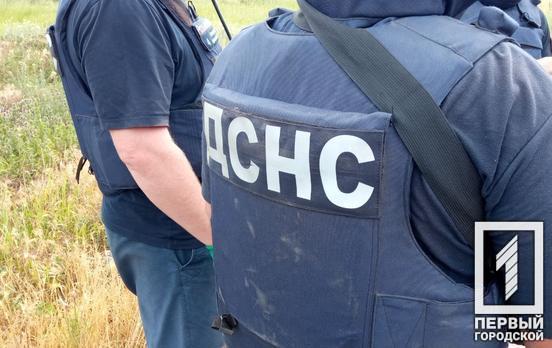 ДСНС створить 80 нових піротехнічних підрозділів для якнайшвидшого розмінування територій України