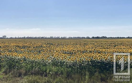На Днепропетровщине ночь прошла без вражеских атак и обстрелов