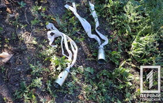 Почти 1 500 взрывоопасных предметов обезвредили саперы Национальной гвардии в Днепропетровской и Херсонской областях