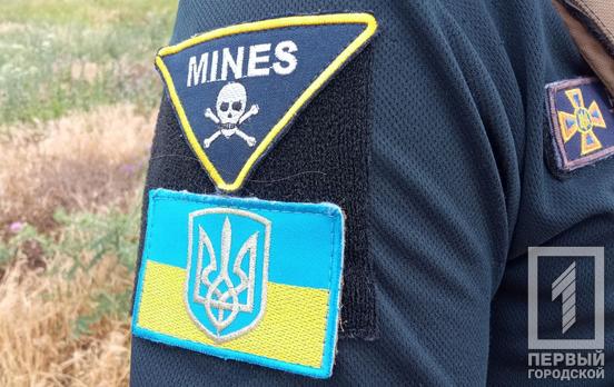 Кассетные снаряды и противотанковые мины: за минувшие сутки в Криворожском районе обезвредили пять взрывоопасных предметов