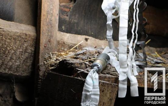 Піротехніки знищили 40 ворожих касетних елементів у Криворізькому районі