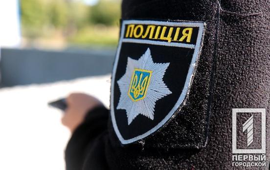 Вдарив по голові та забрав сумку: поліцейські Кривого Рогу затримали грабіжника