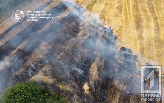 10 років тюрми за підпал сухостою, стерні чи листя під час військового стану – Рада збирається посили кримінальну відповідальність