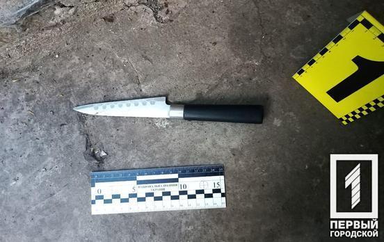 Поліцейські Кривого Рогу затримали літнього чоловіка, який вдарив ножем свою знайому