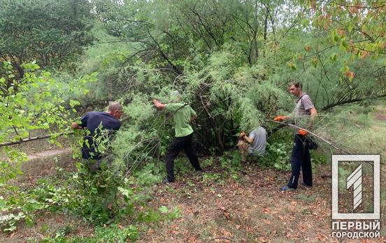 Переселенці у Кривому Розі долучились до «чистого четверга» та прибрали територію біля гуртожитку, в якому вони знайшли прихисток