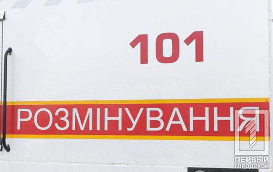 Розмінування України може тривати 5-10 років, – ДСНС