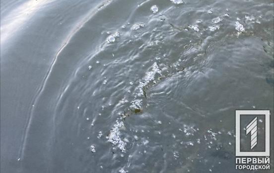 За літо більше 40 людей потонули у водоймах Дніпропетровщини, семеро – у Криворізькому районі