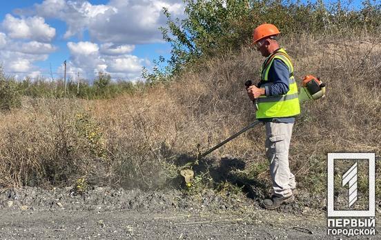 Працівники одного з промпідприємств Кривого Рогу за сезон знищили амброзію на площі понад 60 га в рамках міської екологічної програми
