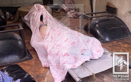 Біля ставка у Кривому Розі знайшли тіло чоловіка без голови