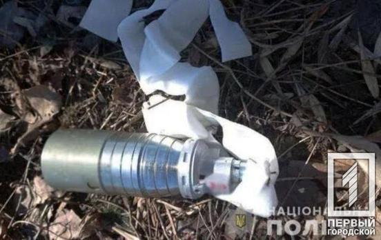 Нічний удар по Нікополю: зруйновано 16 будинків, їх мешканці не постраждали