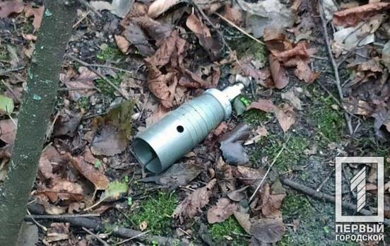 Більше 40 вибухонебезпечних предметів знайшли минулої доби на Дніпропетровщини, зокрема й у Криворізькому районі