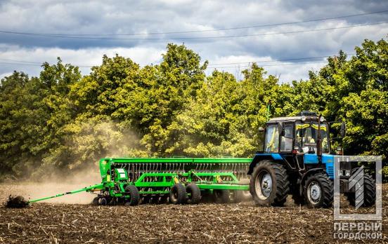 На Дніпропетровщині йде посівна: скільки озимих вже засіяли