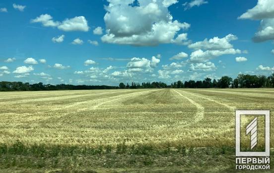 Из-за российско-украинской войны голодная смерть грозит 70 миллионам людей во всем мире, - ООН