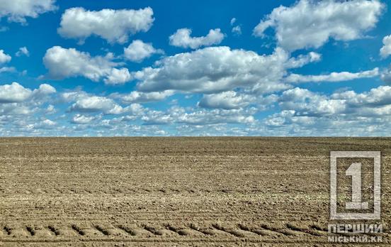 Аграрний бізнес в Україні: Дніпропетровщина опинилася на другому місці через кількість закриттів