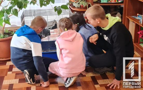У Кривому Розі понад 200 дітей, що залишились без батьківського піклування, чекають на людей з великим серцем, що приймуть їх у нові родини