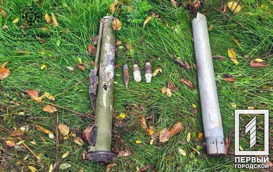 Сапери Дніпропетровщини знешкодили десяток вибухівок за добу