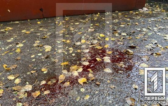 Зарізав маленьку доньку та дружину, а потім застрелився сам: у Кривому Розі в автівці знайшли мертвою цілу родину