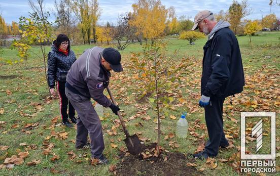 У Центрально-Міському районі Кривого Рогу небайдужі жителі створюють сад на честь захисників України