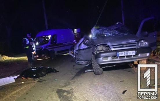 Легковик влетів у дерево: у Кривому Розі загинув чоловік